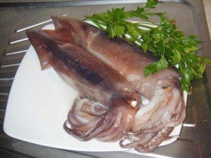 Il totano è simile al calamaro, da cui si differenzia per sapore e colore